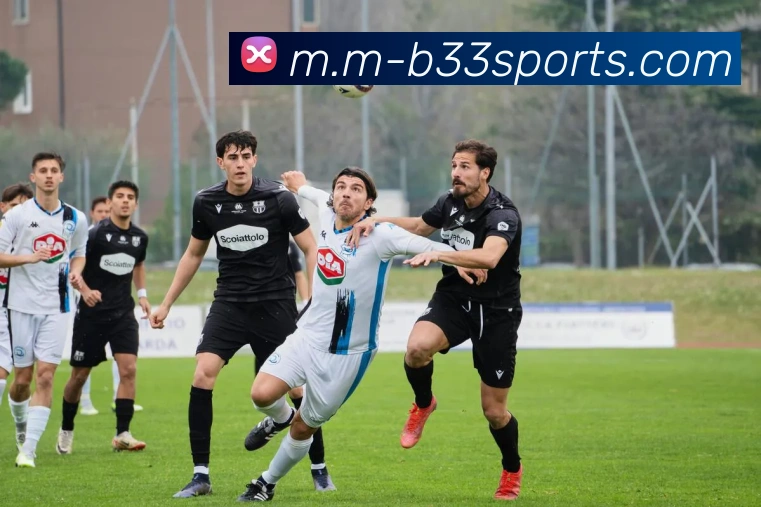 体育下注服务体系