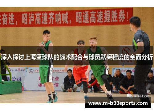 深入探讨上海篮球队的战术配合与球员默契程度的全面分析