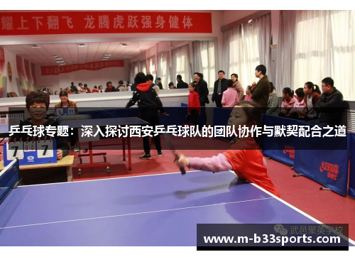 乒乓球专题：深入探讨西安乒乓球队的团队协作与默契配合之道